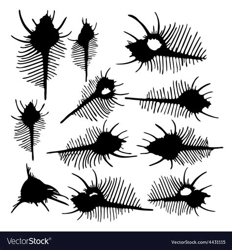 Fish Skeletons Royalty Free Vector Image VectorStock