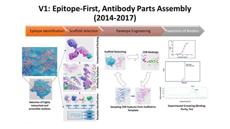 Antibody Engineering « Sasisekharan Lab