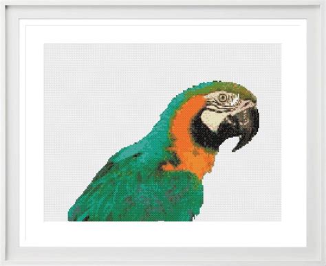 Parrot Cross Stitch Pattern Available At Melocadesigns Etsy