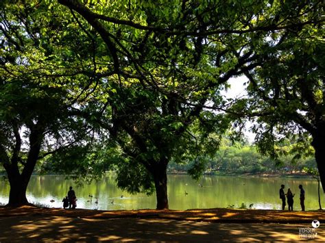 Parque Ibirapuera Sp Top Atra Es B Nus E Dicas