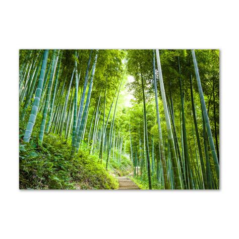 Sansibar Home Bamboo Forest Kunstdrucke Auf Leinwand Wayfair De