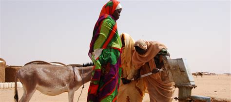 international migrants day  plight  environmental migrants