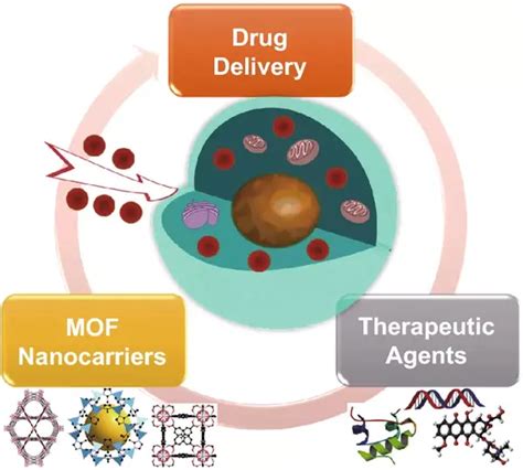 金属 有机框架纳米药物载体在生物医学中的应用 知乎