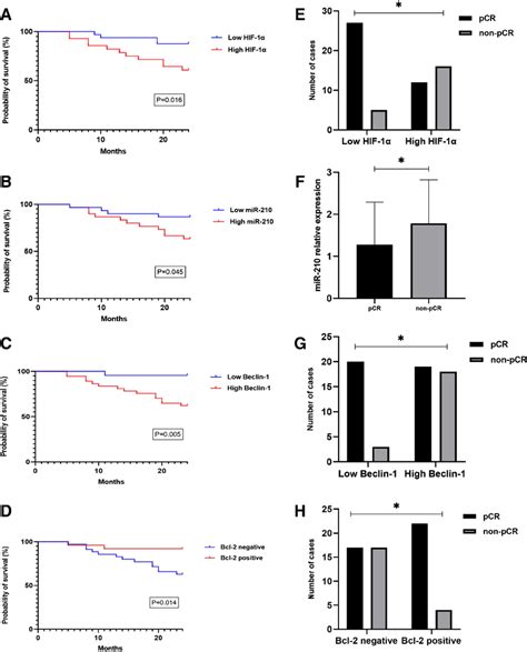 Hypoxia Related Markers Hif And Mir Beclin And Bcl In