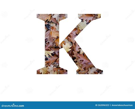 Letter K Of The Alphabet Made With Autumn Brown Oak Leaves Stock Photo