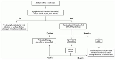 Pharyngitis Ento Key