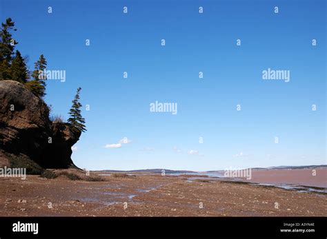 Hopewell Rocks Provincial Park At Low Tide On The Bay Of Fundy New