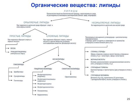 Органические вещества - презентация онлайн