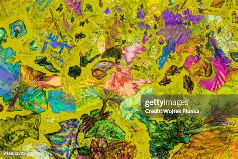 Psychedelic Drugs Photos And Premium High Res Pictures Getty Images