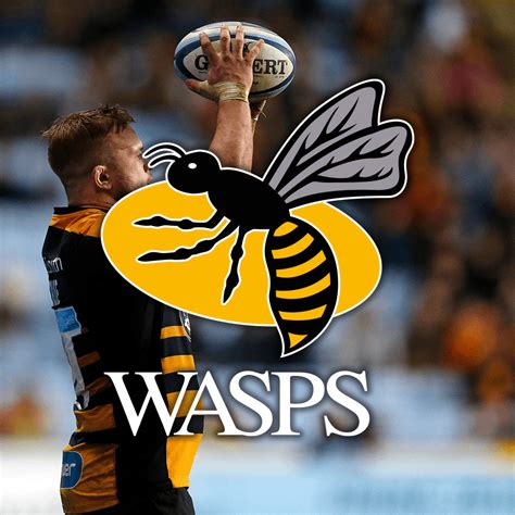 Wasps Rugby | WePlay