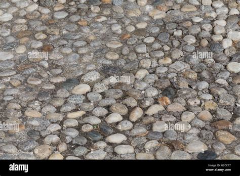 Piedras Redondas En El Suelo La Textura De Los Adoquines En El Parque