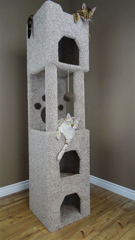 New Cat Condos 71 Premier Cat Tree And Reviews Wayfair