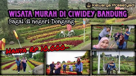 Happy Farm Ciwidey Tempat Wisata Murah Di Bandung Jawa Barat Bagai Di