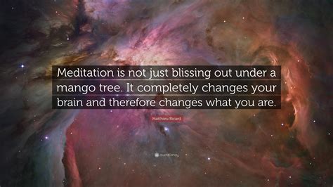 Matthieu Ricard Quote: “Meditation is not just blissing out under a ...