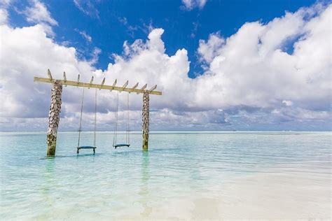 Exotic Tropical Paradise Swings Photograph By Levente Bodo Fine Art