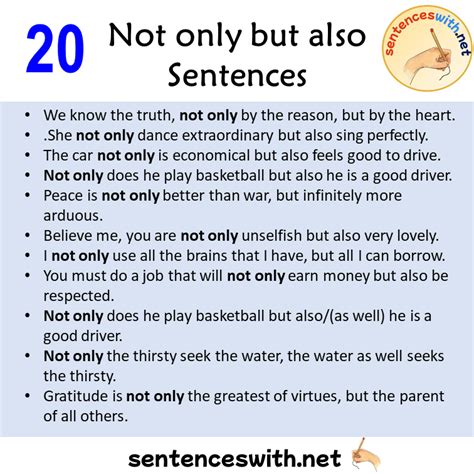 20 Irregular Plural Sentences Irregular Plural Nouns Example Sentences Sentenceswith