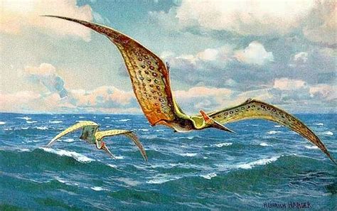 Pteranodon Hharder A Painting Of Two Birds Flying Over The Ocean