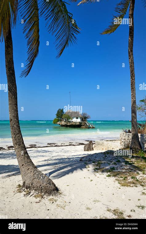 Palm Trees Bwejuu Beach Zanzibar Hi Res Stock Photography And Images
