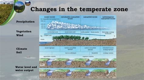 The temperate zone