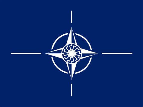 2 NATO flags with the black sun in the center. I made this for Wise