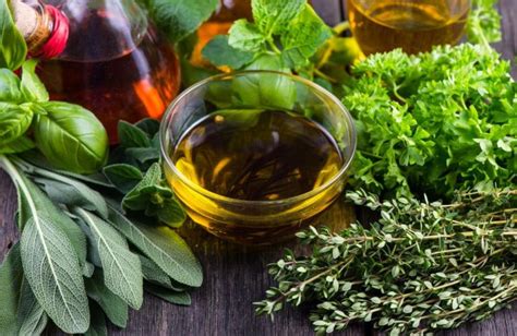 Ayush Ministry Sets Up Centre For Medicinal Plants In Pune