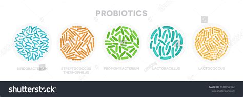 Set Probiotic Bacteria Good Microorganisms Concept Stock Vector