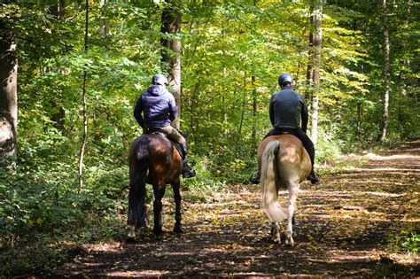 R Vise Tes Galops En T Amusant Petit Galop