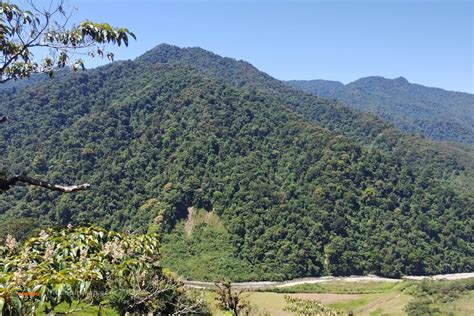 Le Parc National Tapanti Trio De Turismo Voyages Au Costa Rica