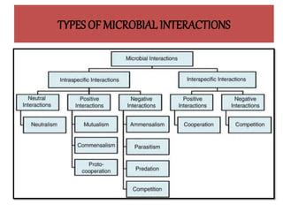 Microbial Interaction Ppt