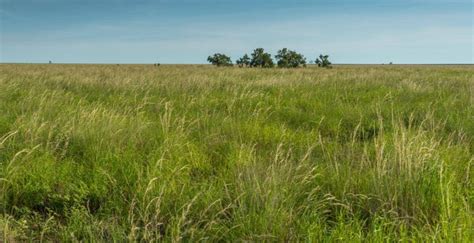 Outstanding Cattle Station For Sale Northern Territory