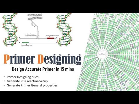 Free Video Pcr Primer Designing Using Ncbi Primer Blast In Silico