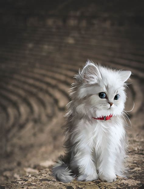 Download Animal, Kitten, Mammal. Royalty-Free Stock Illustration Image ...