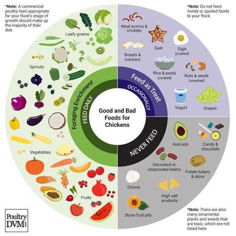 Chart Good And Bad Foods For Chickens Infographic