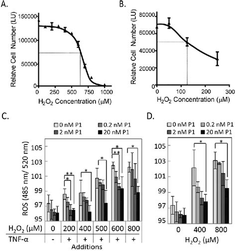 Cell Viability And Reactive Oxygen Species Ros Levels With Increasing