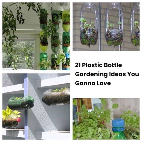 Plastic Bottle Gardening Ideas You Gonna Love Sharonsable