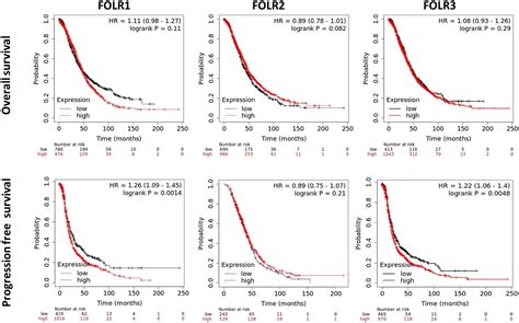 Folate Receptor Genes Were Up Regulated In Epithelial Ovarian Cancer