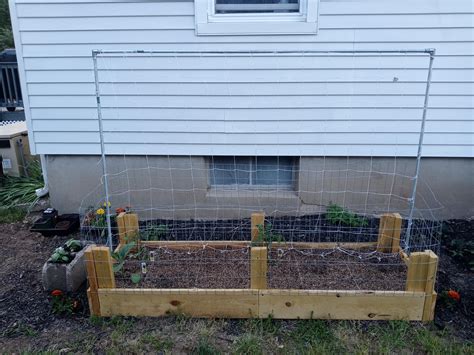 This is my square foot garden, Its 6x2. Im growing italian romanesca