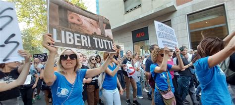 GIÙ LE MANI DAI SANTUARI MIGLIAIA DI PERSONE TRA LE STRADE DI MILANO A