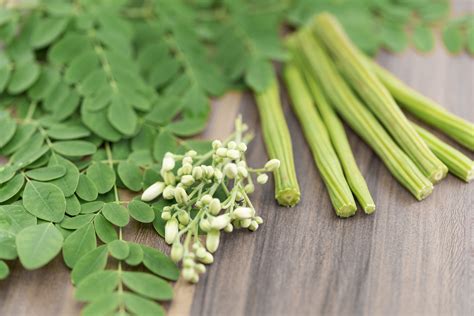 Todo Sobre La Moringa Propiedades Beneficios Y Su Uso En La Cocina