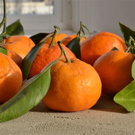 Christmas Oranges | More Than a Satsuma – Abeego