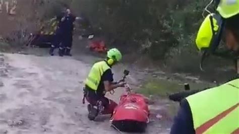 Heridas Graves Dos Personas Tras Ser Atacadas Por Un Jabalí En Navarra