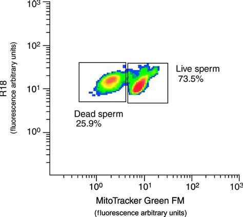 In Vivo Imaging Of In Situ Motility Of Fresh And Liquid Stored Ram