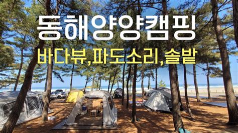 동해캠핑장 한여름밤 별과 함께하는 로맨틱한 야영으로 여행을 떠나보세요