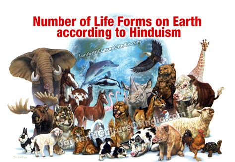 Number of Life Forms on Earth | Sanskriti - Hinduism and Indian Culture ...