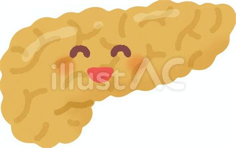 Cartoon Pancreas Clipart