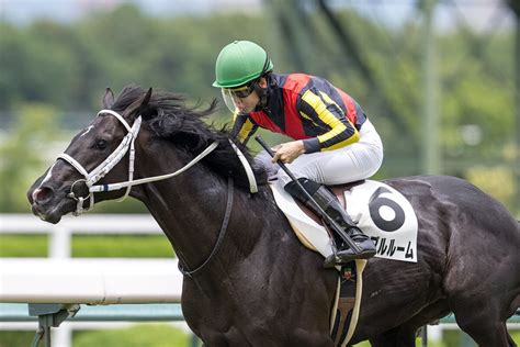 【画像】【新馬阪神5r】キズナ産駒 ギャンブルルームが5馬身差圧勝 22 ライブドアニュース