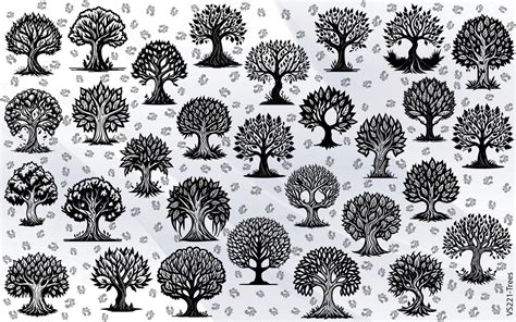 Tree Svg Bundle Celtic Tree Svg Tree Bundle Svg Tree Of Life Svg