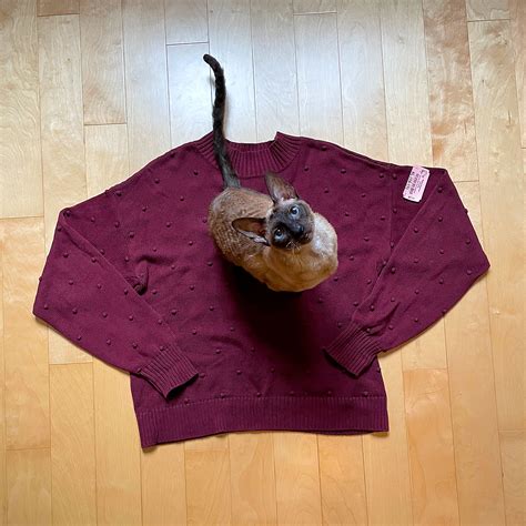 Diy Cat Or Dog Sweater · Tiny Trash Can