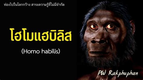 Homo Habilis Youtube