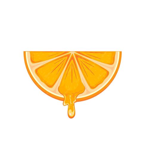 Premium Vector Fresh Ripe Orange Slice Isolated On White Background Illustration